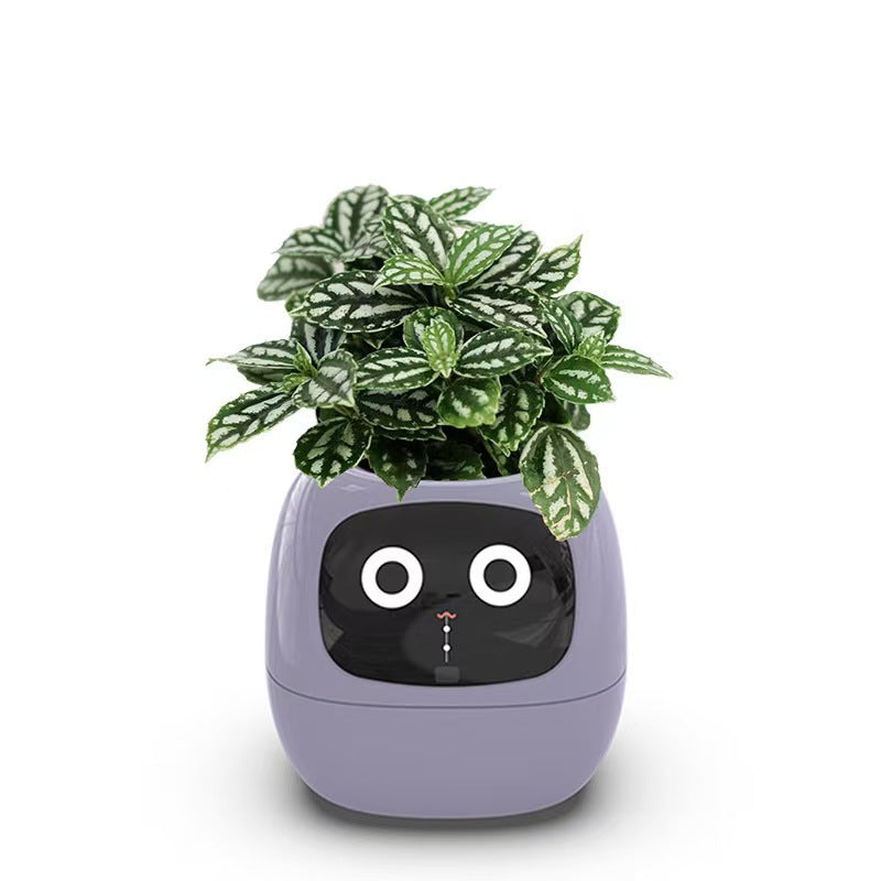 EMOKO smart pet planter robot with green leafy plant in a purple pot featuring a cute face design