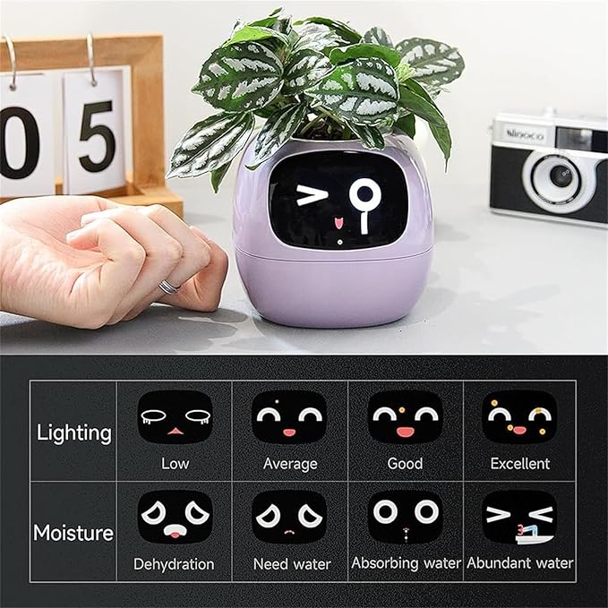 EMOKO smart pet planter robot in purple with digital face display and leafy green plant on table