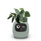 EMOKO smart pet planter robot with green leafy plant and digital face display in light green casing