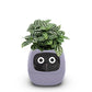 EMOKO smart pet planter robot with green leafy plant in a purple pot featuring a cute face design