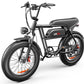 Emoko C99 250W Motor 48V 20Ah Battery Fat Tire City Ebike Adults Emoko