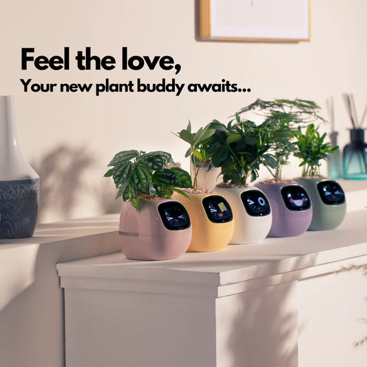 AI Smart Pet Planter Robot with Plant Care